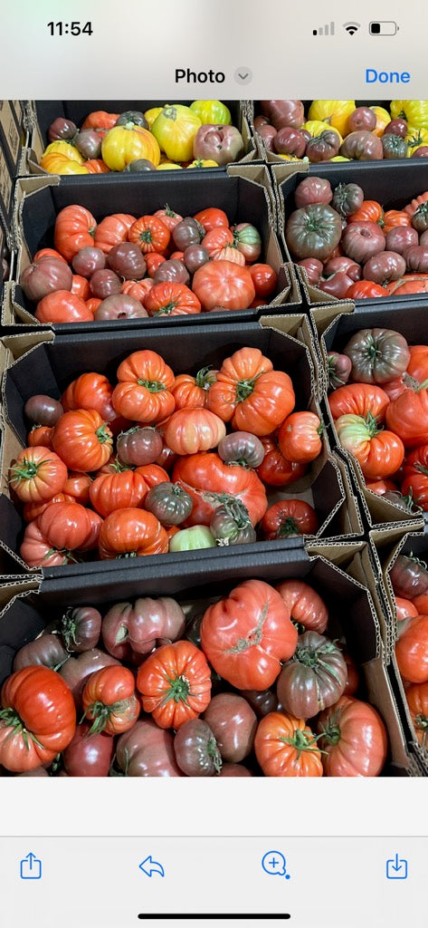 Tomatoes heirloom mix 1kg
