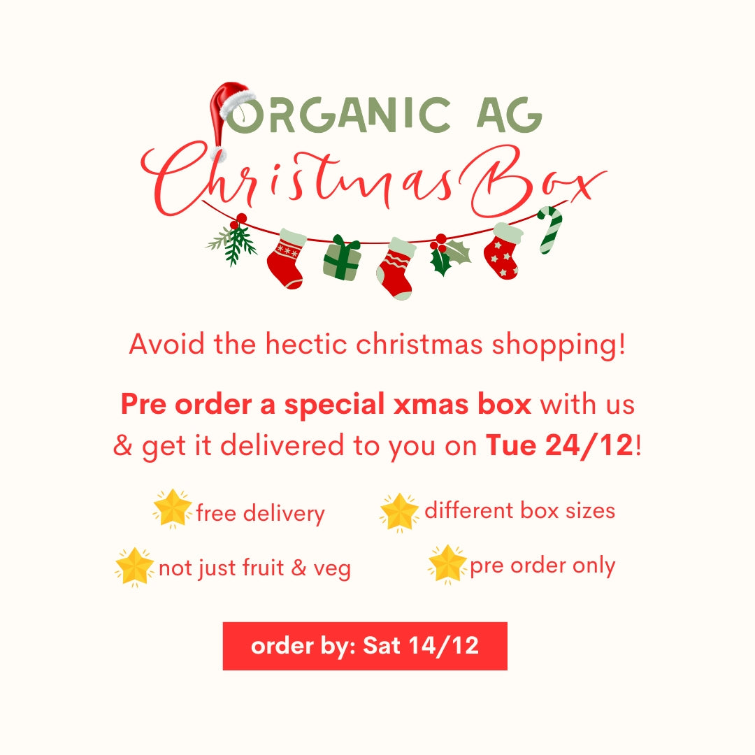 CHRISTMAS BOX, large / medium / small