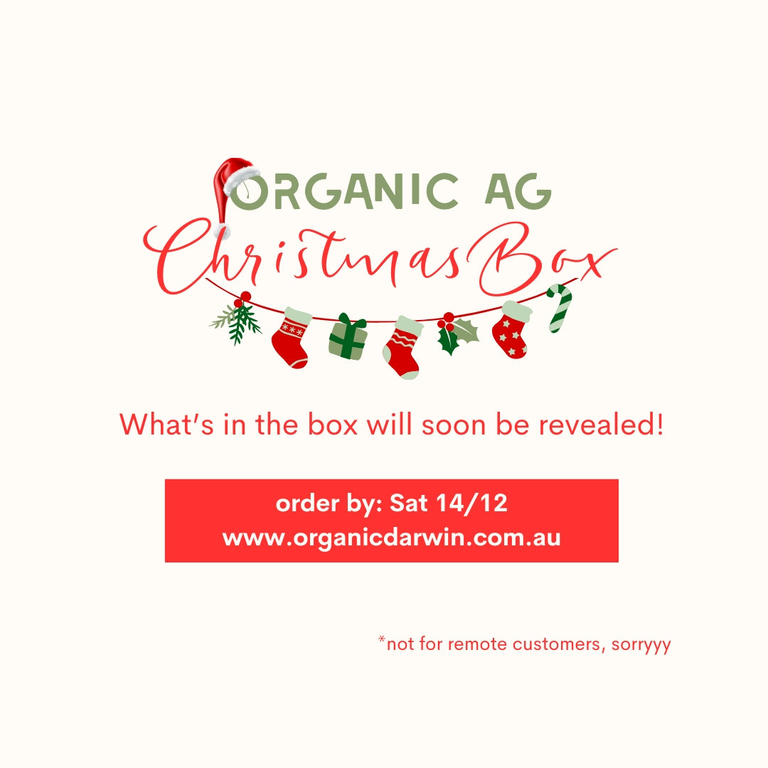 CHRISTMAS BOX, large / medium / small