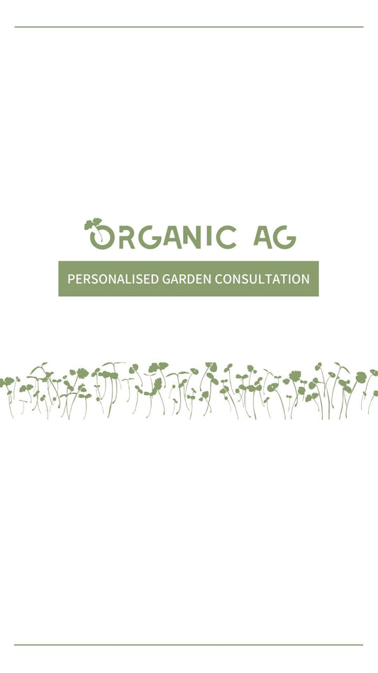 Personalised Garden Consultation