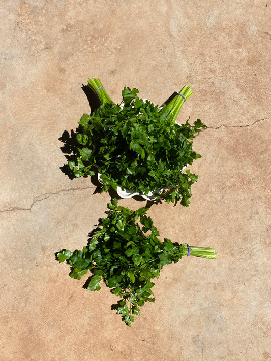 Parsley, bunch