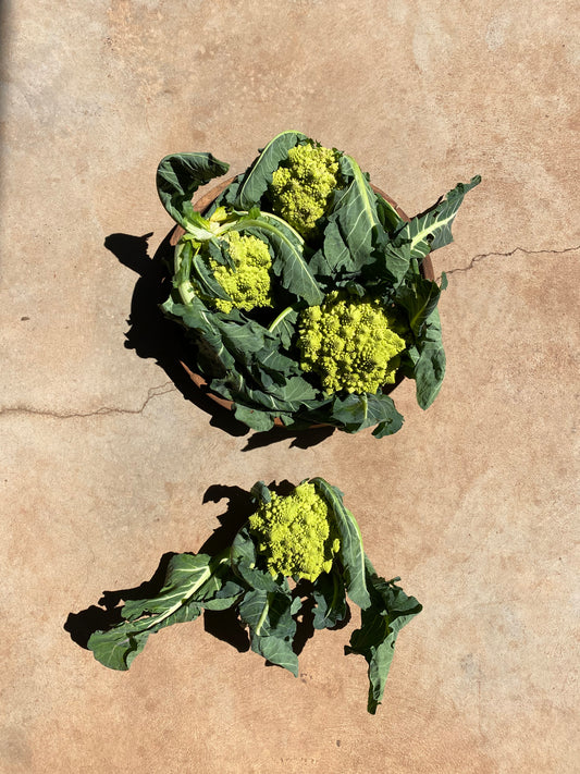 Romanesco Cauliflower