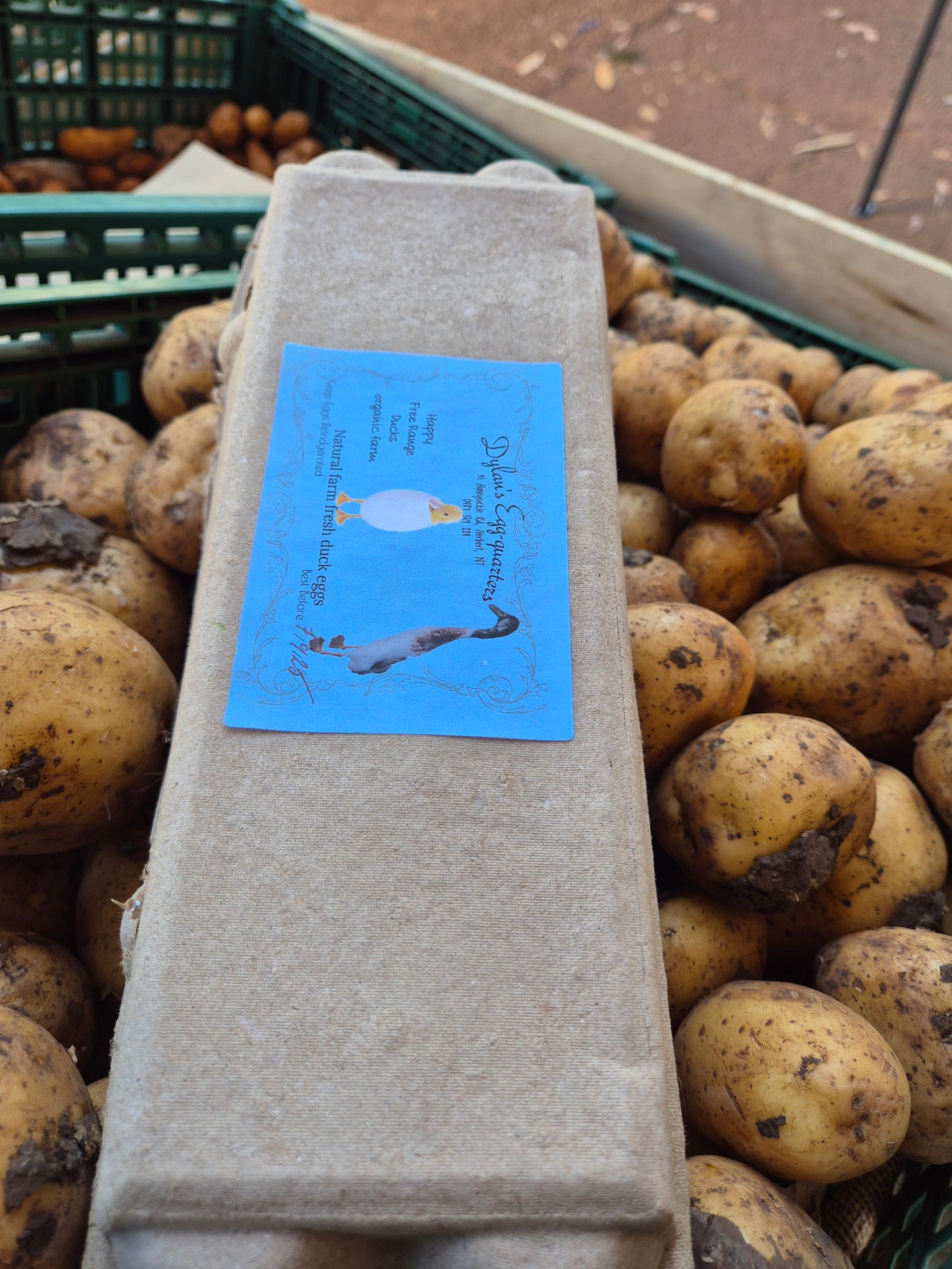 Duck eggs dozen, local