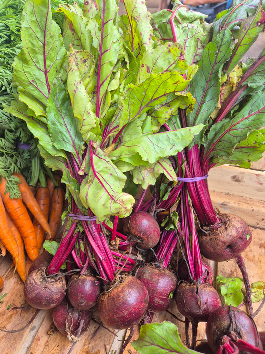 Beetroot bunch
