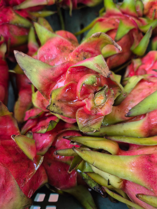 Dragonfruit 1kg white flesh