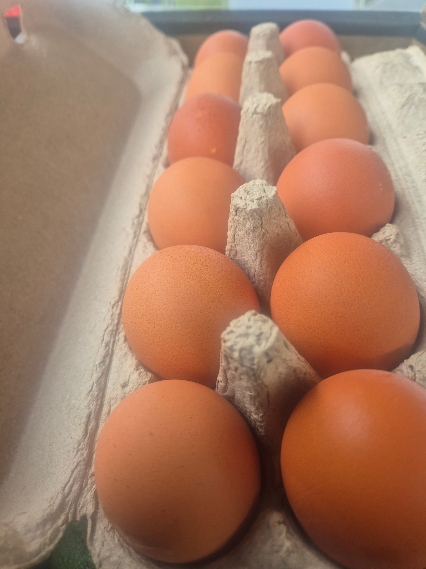 Eggs dozen local free range