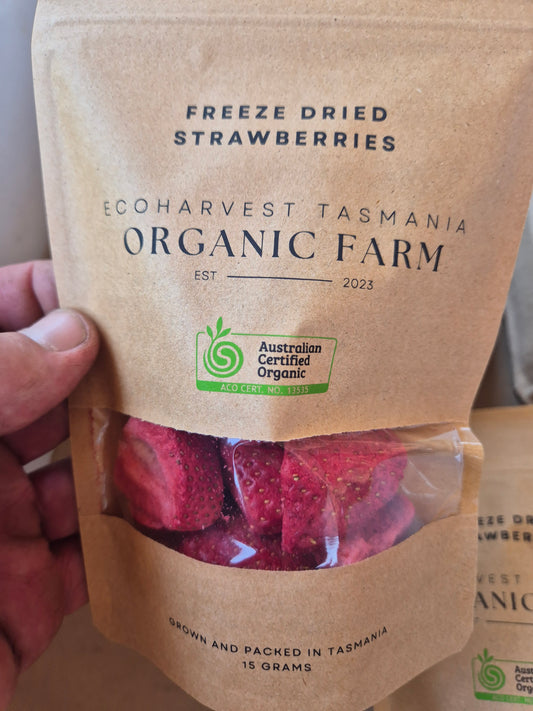 Strawberries freeze dried, 15g